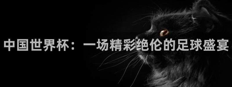 好博体育app官网最新版本更新内容