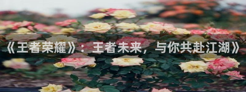 看球吧nba在线高清免费：《王者荣耀》：王者未来，与你共赴江湖》