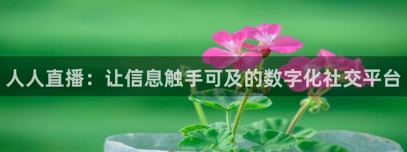 看球吧直播nba：人人直播：让信息触手可及的数字化社交平台