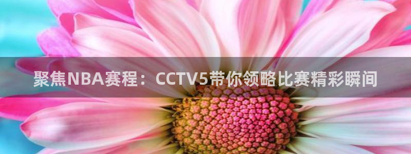 360免费直播超清 看球吧：聚焦NBA赛程：CCTV5带你领略比赛精彩瞬间
