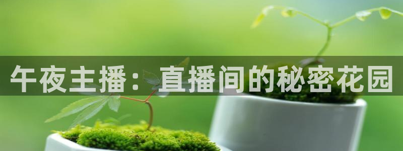 nba在线直播观看直播看球吧：午夜主播：直播间的秘密花园
