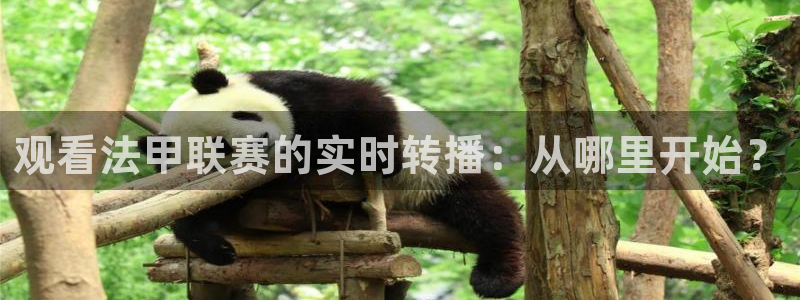 365看球吧直播：观看法甲联赛的实时转播：从哪里开始？