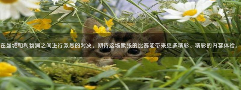 看球吧：在曼城和利物浦之间进行激烈的对决，期待这场紧张的比赛能带来更多精彩、精彩的内容体验。